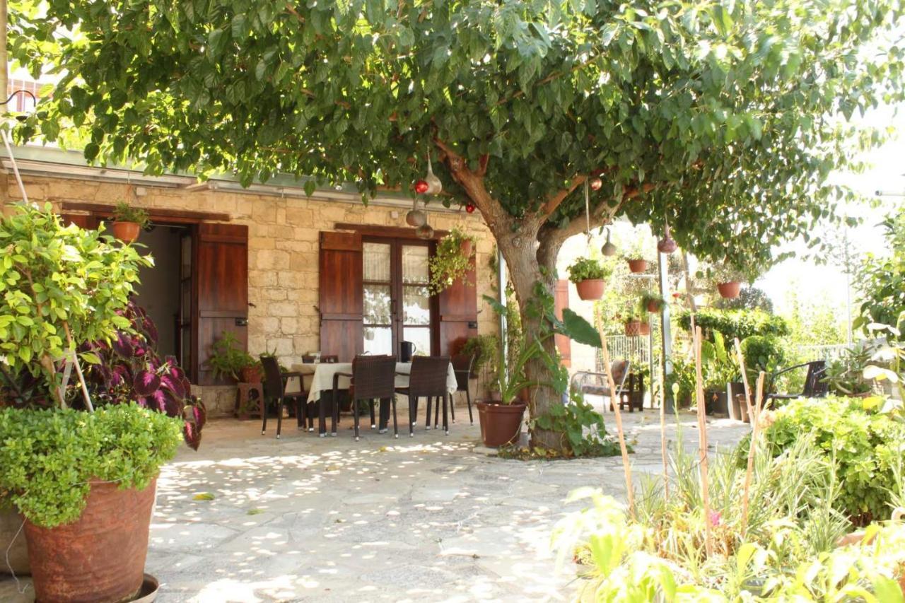 Georgia'S House Bed & Breakfast Fyti ภายนอก รูปภาพ